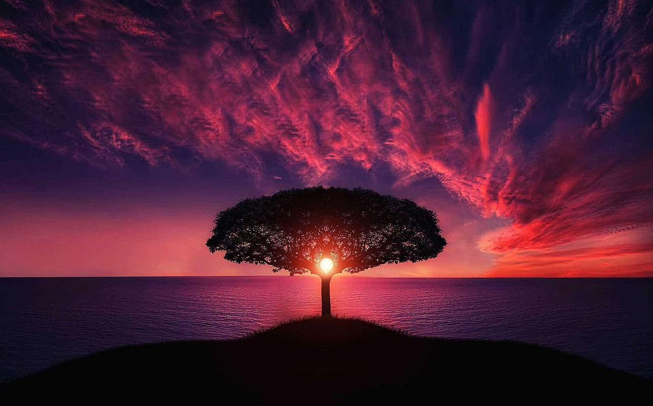 成功事例の紹介