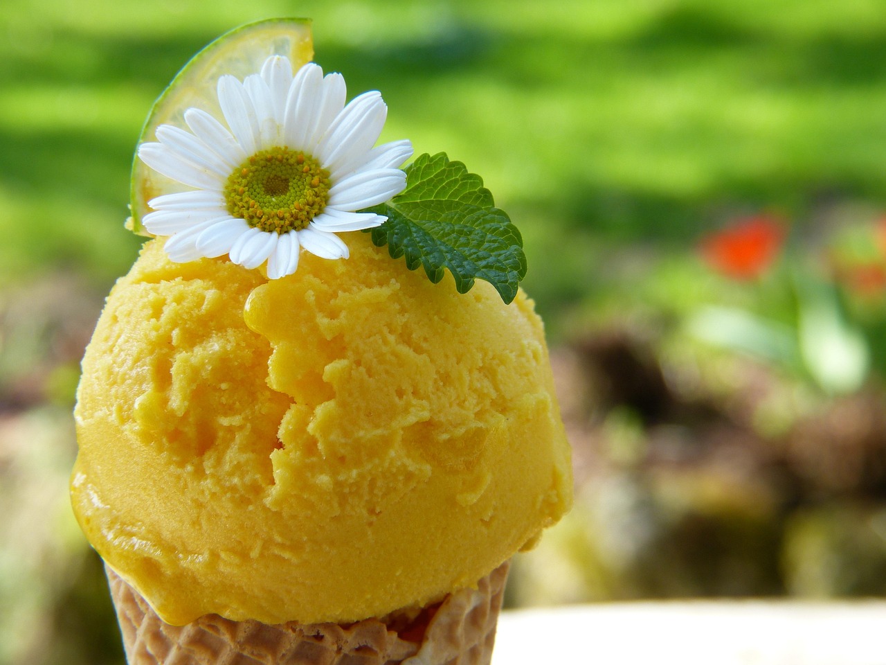 未来を切り拓こう！夏の準備は自立への第一歩