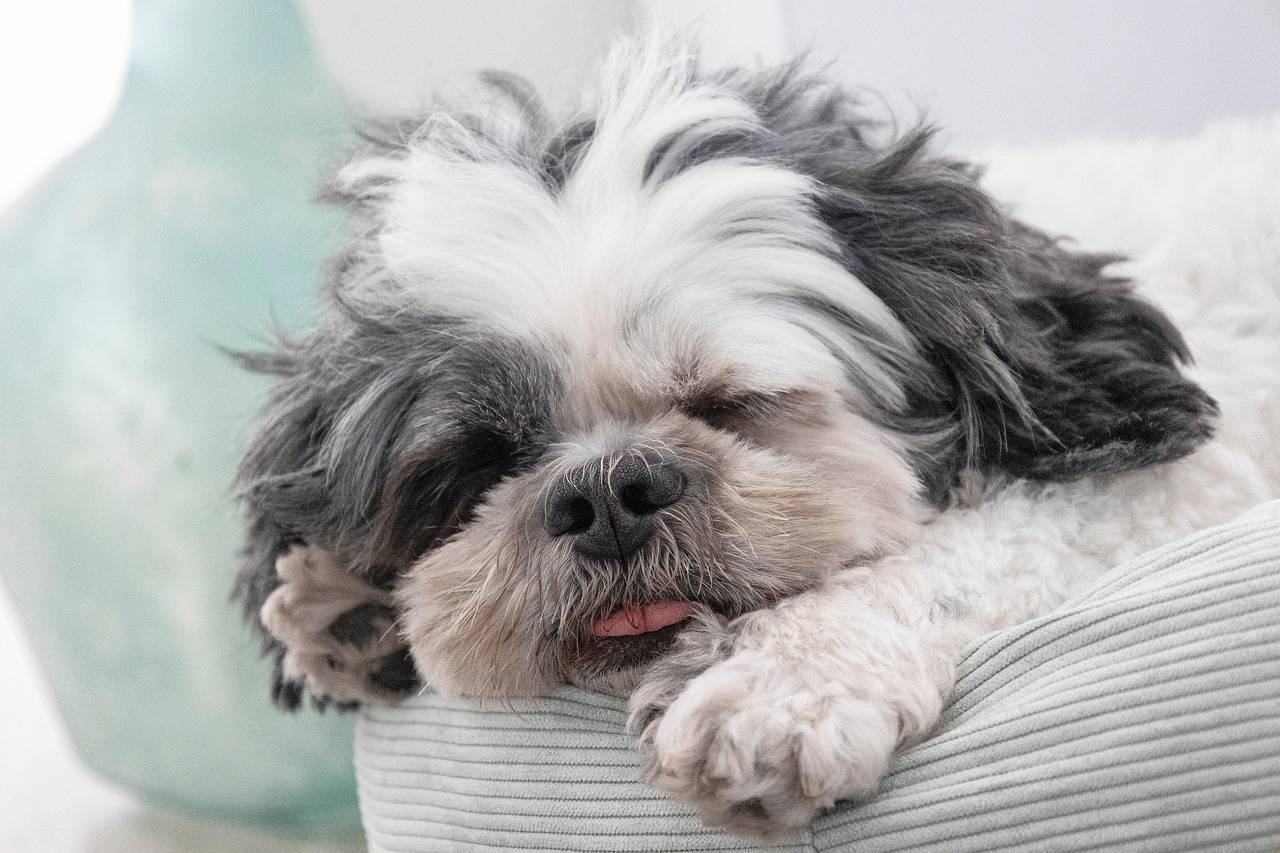 実践！睡眠改善法